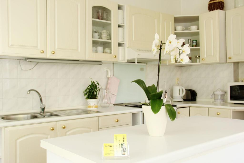 Apartmán Venus Praha